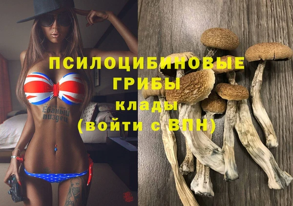 крисы Абинск