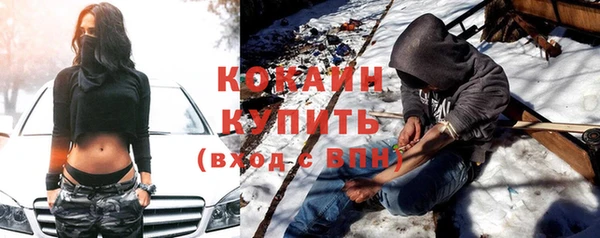 винт Абаза