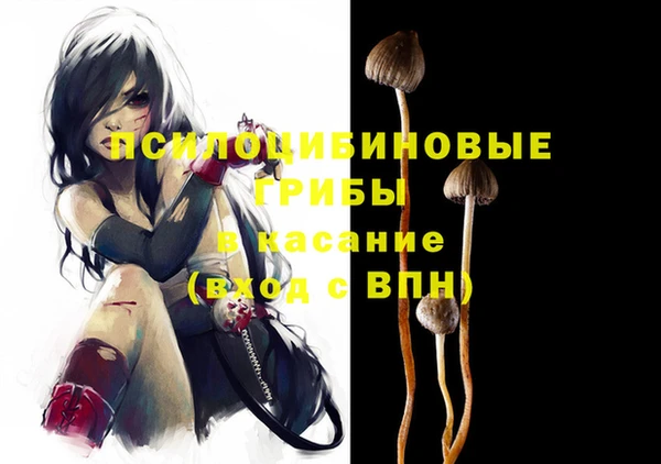 2c-b Абдулино