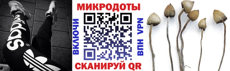 купить наркотик  Алагир  Галлюциногенные грибы Cubensis 